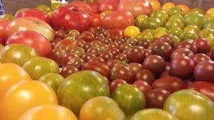 tomato