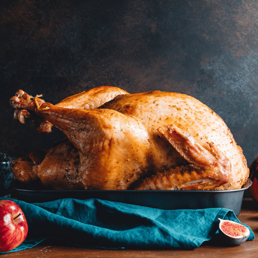 turkey-organic-heritage-breed-elmwood-stock-farm