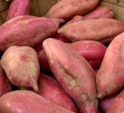 organic-sweet-potatoes
