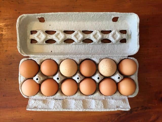 Eggs, Chicken