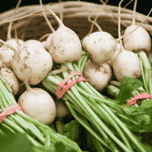 Turnips, Hakurei Salad