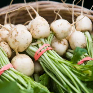 Turnips, Hakurei Salad