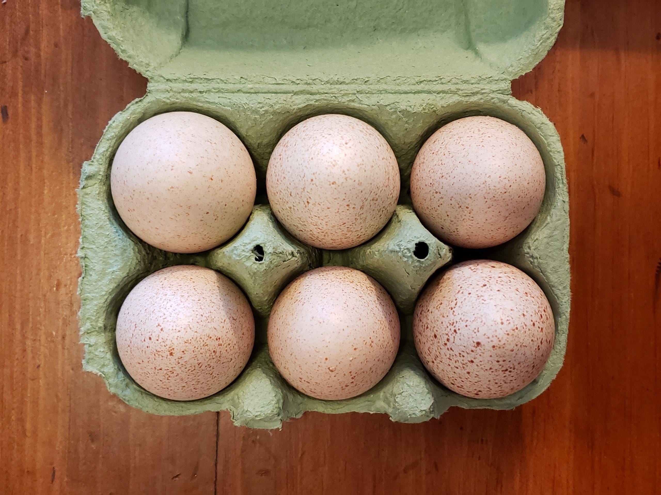 Eggs, Turkey