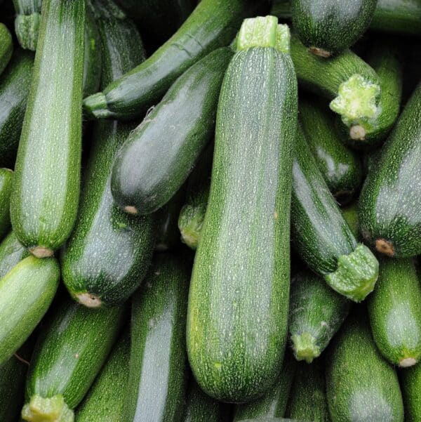Green zucchini jpg