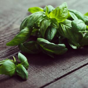 Fresh Herbs, Basil