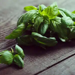 Fresh Herbs, Basil