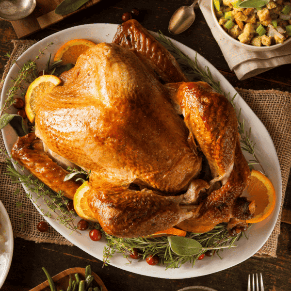 Elmwood-stock-farm-certified-organic-pasture-raised-thanksgiving-turkey