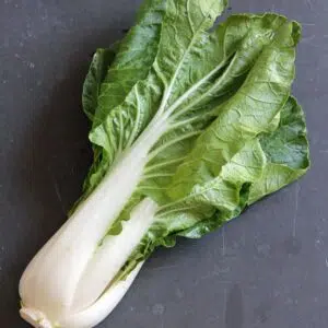 Bok Choy
