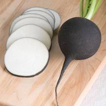 Radish, Black Spanish