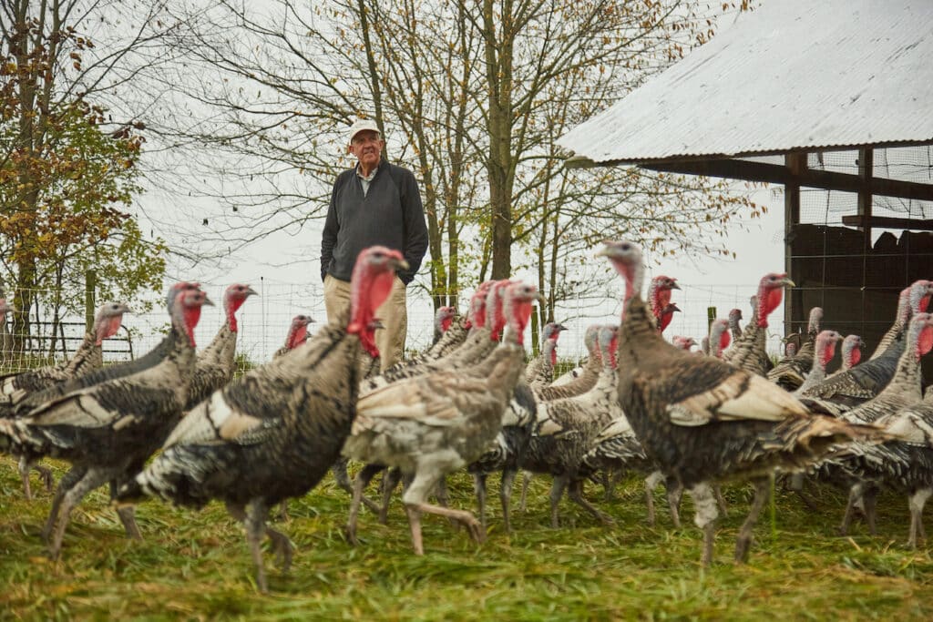 Mac-Stone-Elmwood-Stock-Farm-heritage-turkey