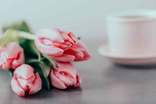 Pink spring tulips and pink cup on a gray background, toned