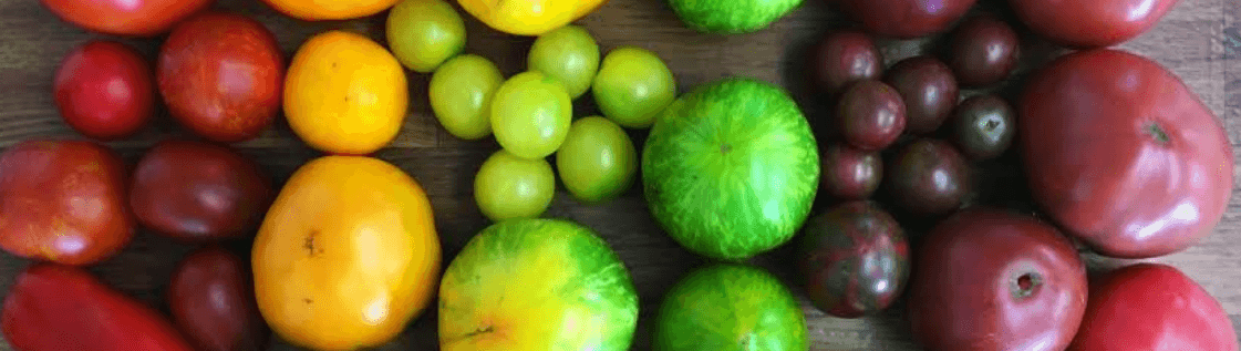 A rainbow of different colored tomato varieties.