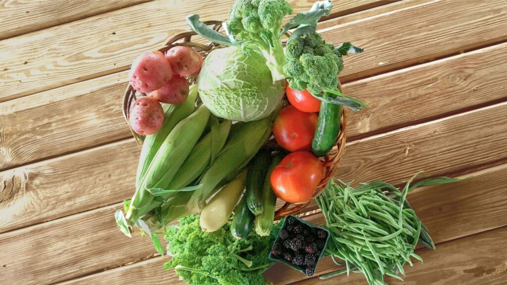 A regular-sized share of Elmwood produce in a basket, featuring broccoli, cabbage, corn, blackberries, tomatoes, and green beans