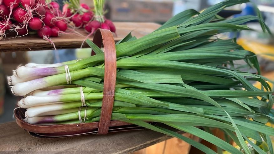 a bunch of green garlic