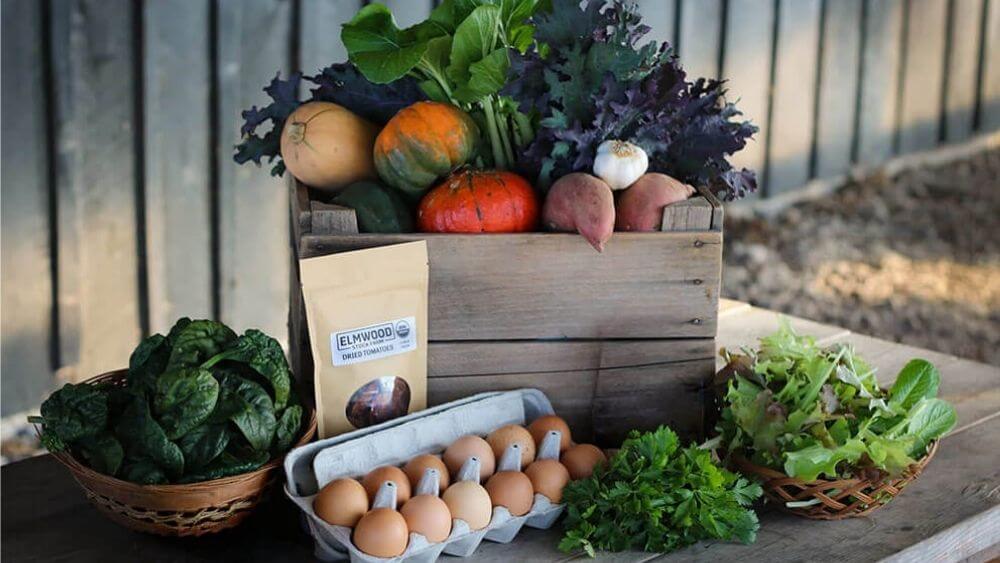 A large box of Elmwood Fall vegetables, eggs, and pantry goods.