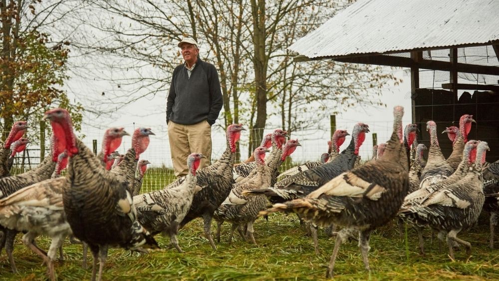 Farmer Mac standing amongst a flock of turkeys