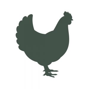 icon-chicken