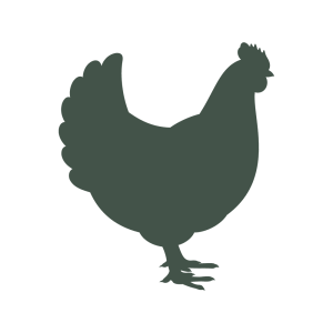 icon-chicken