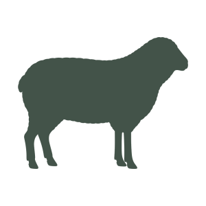 icon-lamb